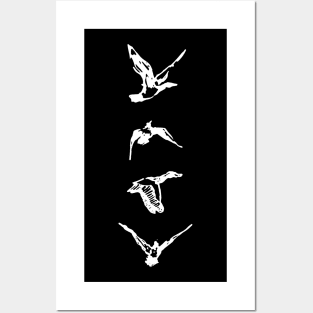 Birds Flying Posters and Art